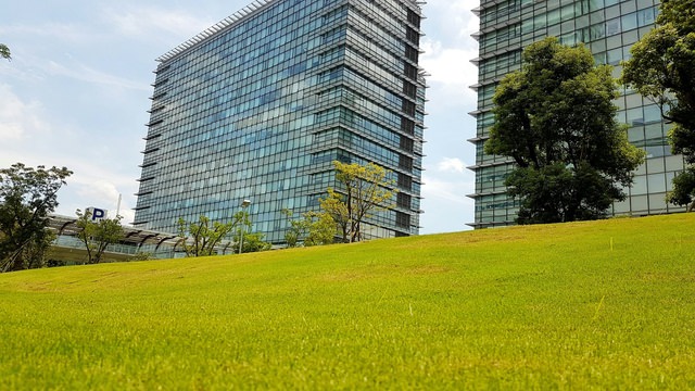 中國信託總行庭園景觀維護