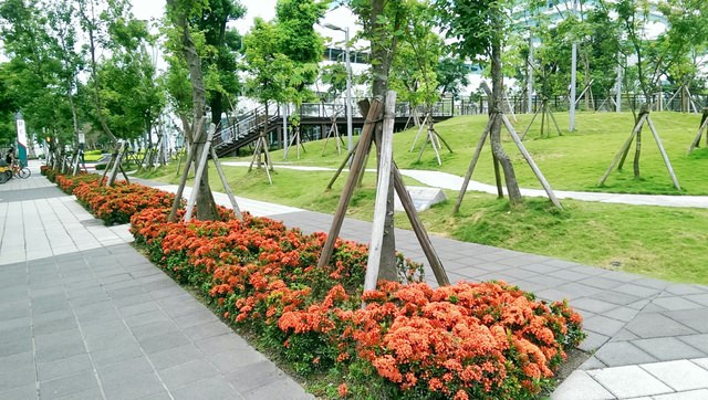 中國信託總行庭園景觀維護