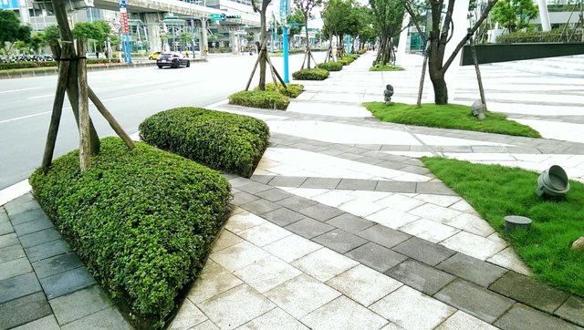 中國信託總行庭園景觀維護