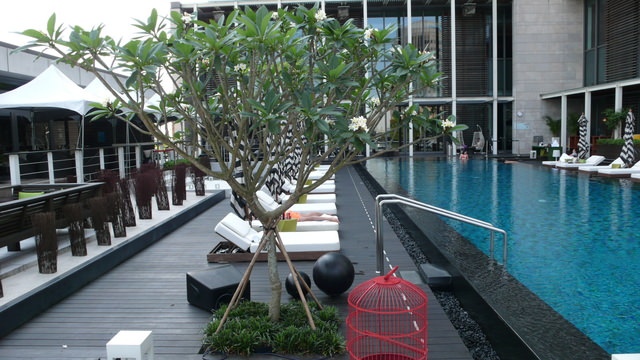 W HOTEL 景觀維護