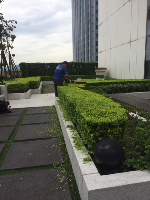 W HOTEL 景觀維護
