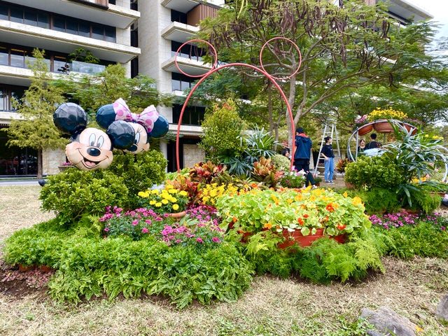 2019青春花壇創藝大賞