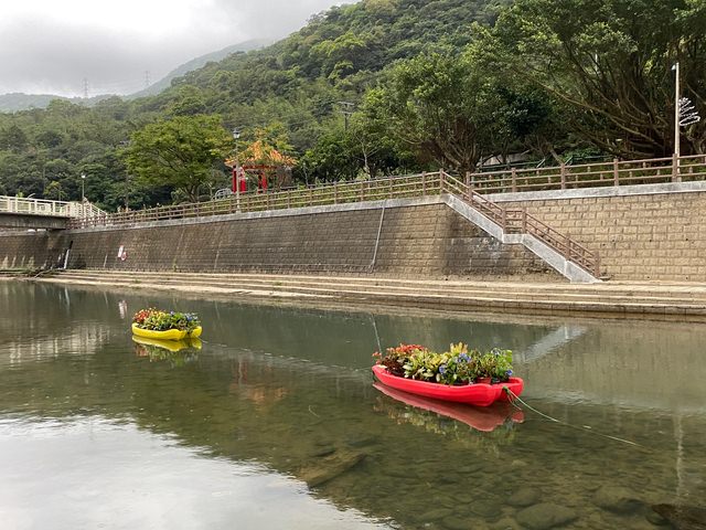 萬金杜鵑瑪鋉溪小艇