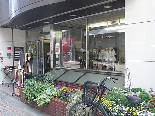 日本協進 elle 〝朝聖〞