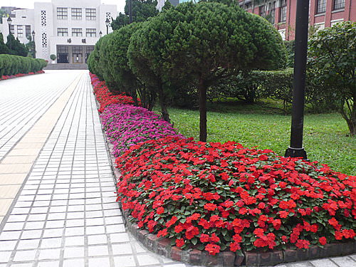 〝連任〞立法院