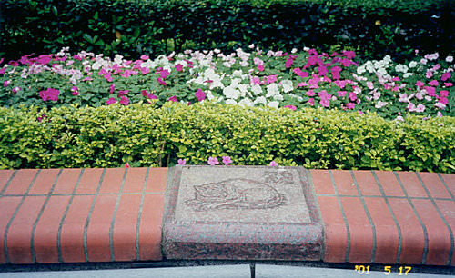 總統府草花換植維護
