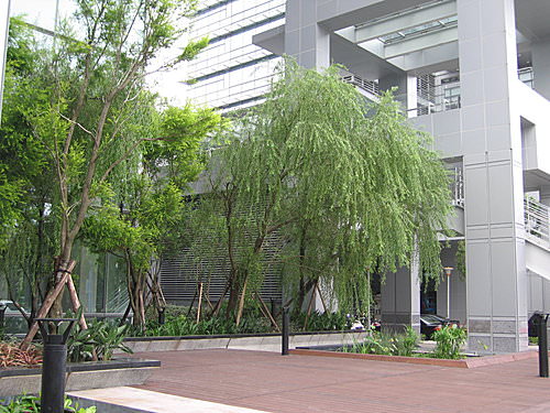 簡潔常綠的辦公大樓庭園景觀