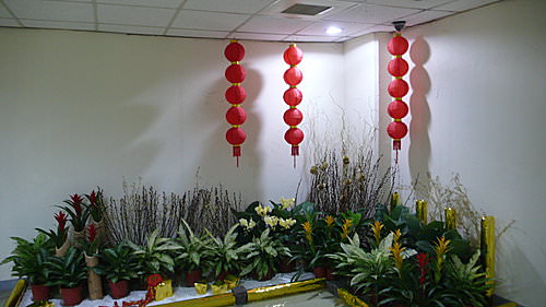 100年新年快樂