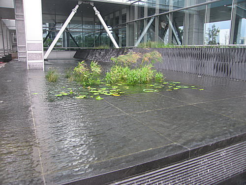 簡潔常綠的辦公大樓庭園景觀