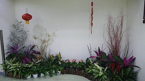 100年新年快樂