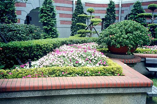 總統府草花換植維護