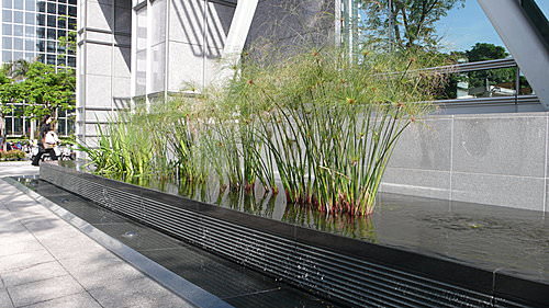 簡潔常綠的辦公大樓庭園景觀