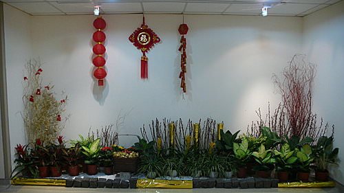 100年新年快樂