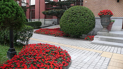 〝連任〞立法院