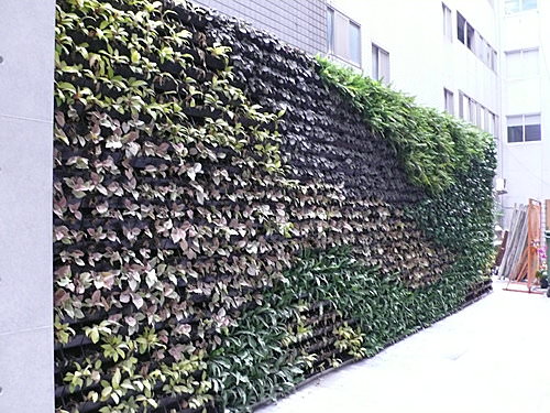 簡單雅緻的住宅庭園