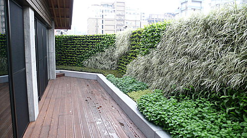 簡單雅緻的住宅庭園
