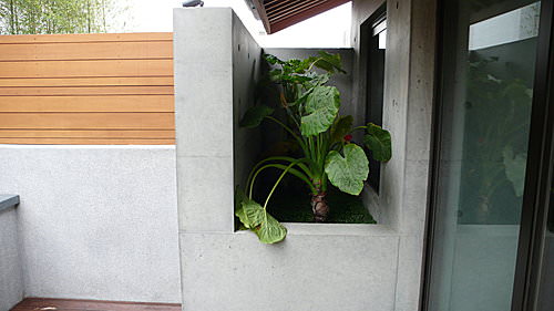 簡單雅緻的住宅庭園