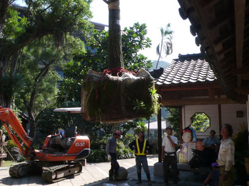 難得一見