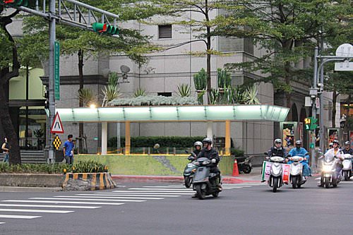 多肉植物〝大盆景〞