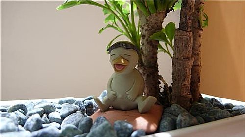 兒子的創意盆栽