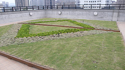 屋頂綠美化